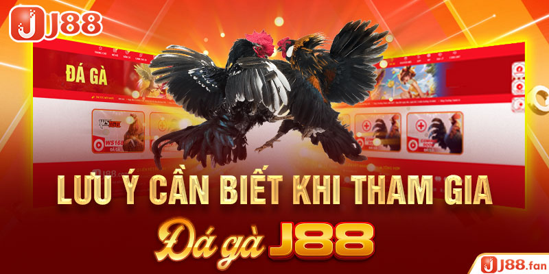 Đá Gà J88 - Mãn Nhãn Với Những Trận Chọi Kê Mang Đẳng Cấp Quốc Tế 10 Lưu ý cần biết khi tham gia đá gà J88